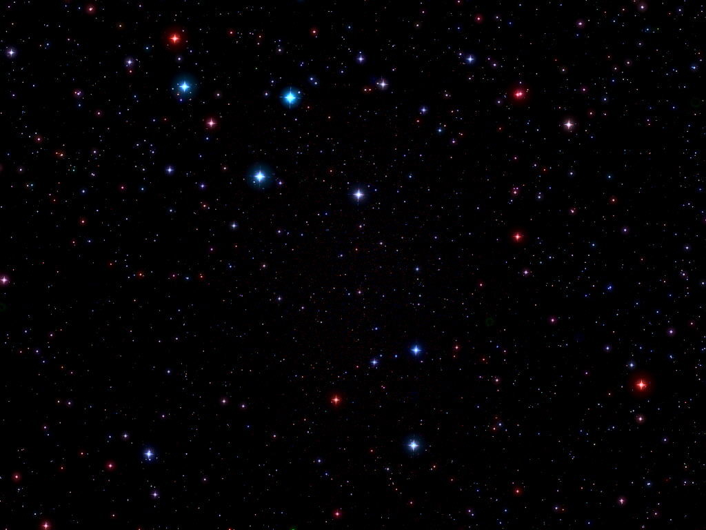 delphinus minor