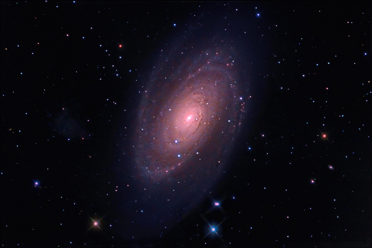 M81