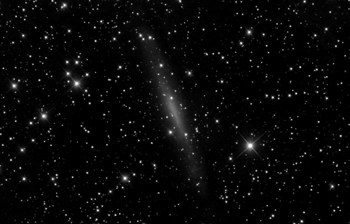 NGC1560