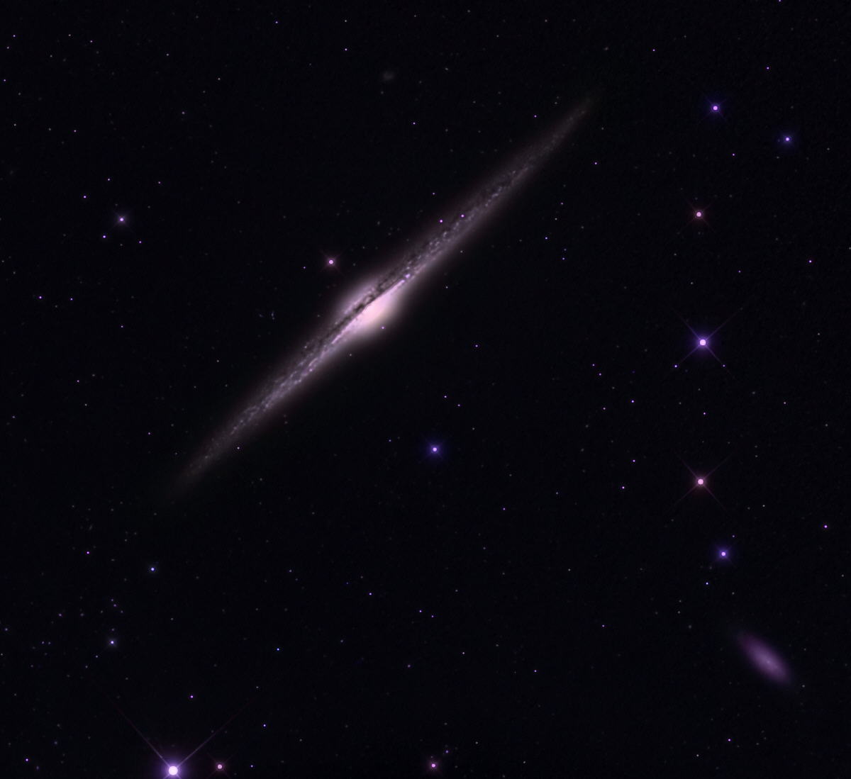 NGC4565