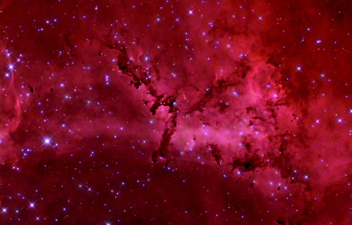 Rosette Nebula