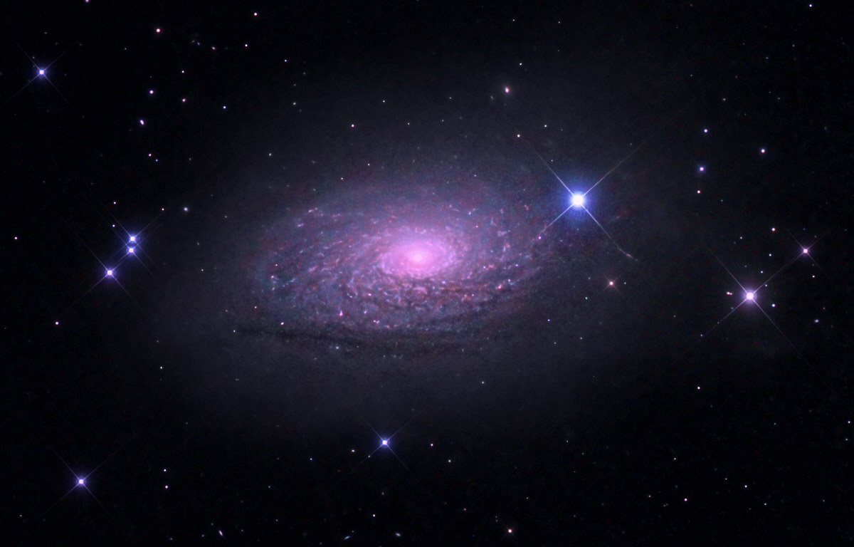 M63