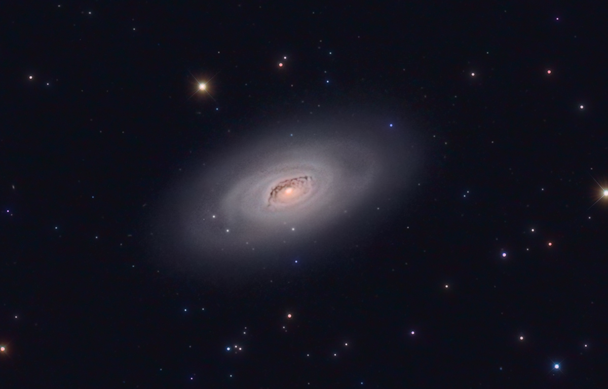 M64