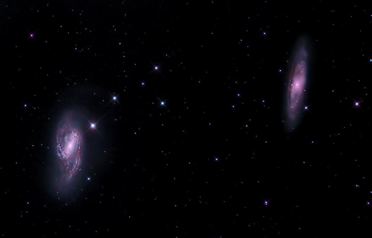 M65 and M66