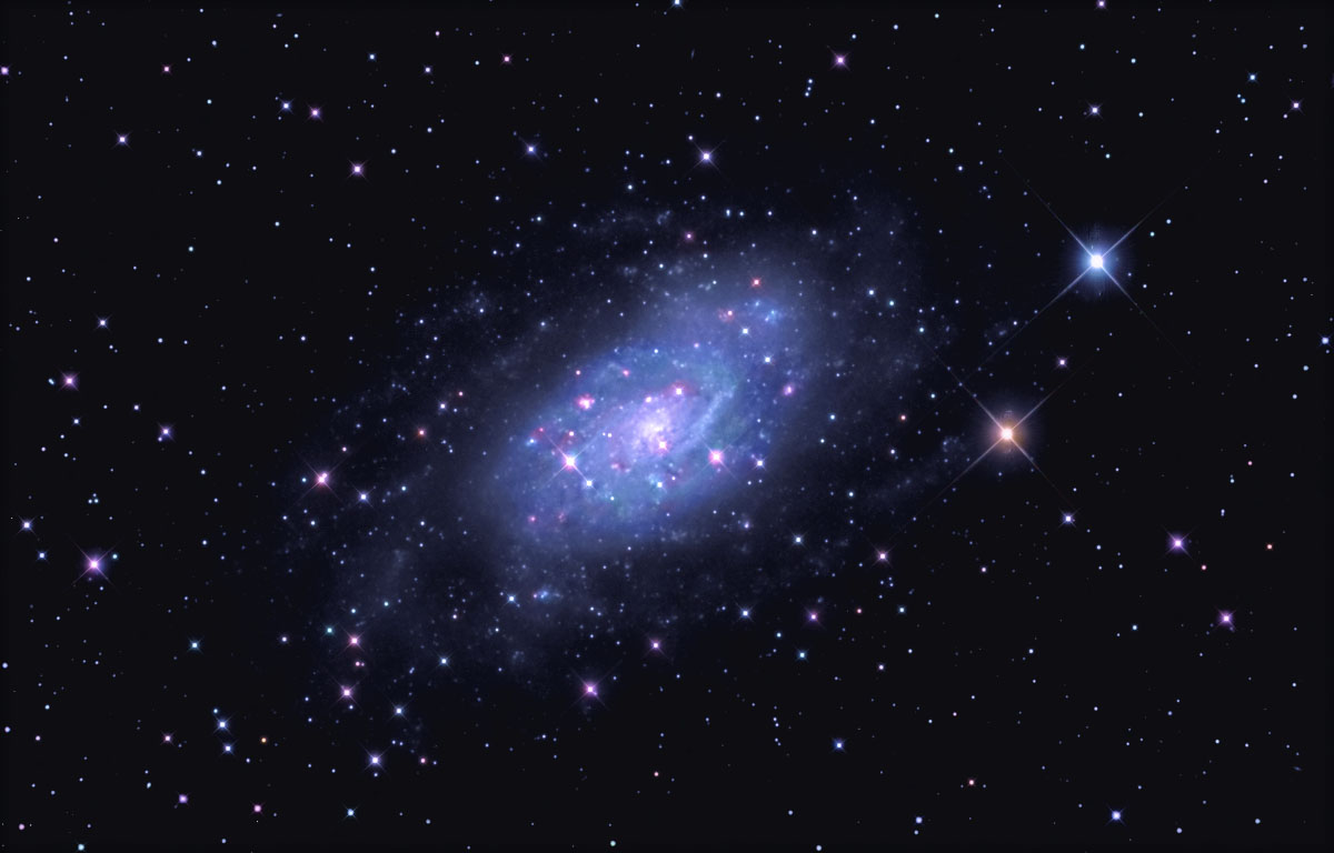 NGC 2403