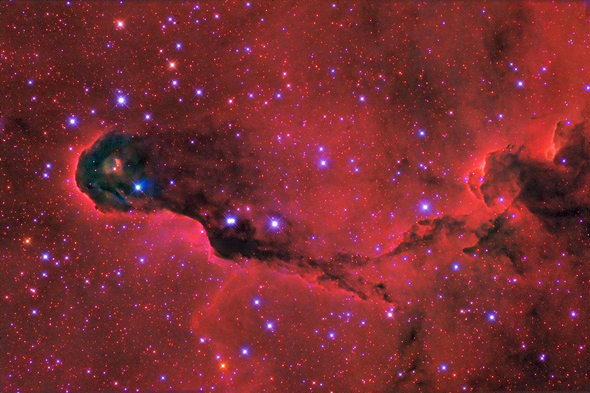 Elephant's Trunk Nebula