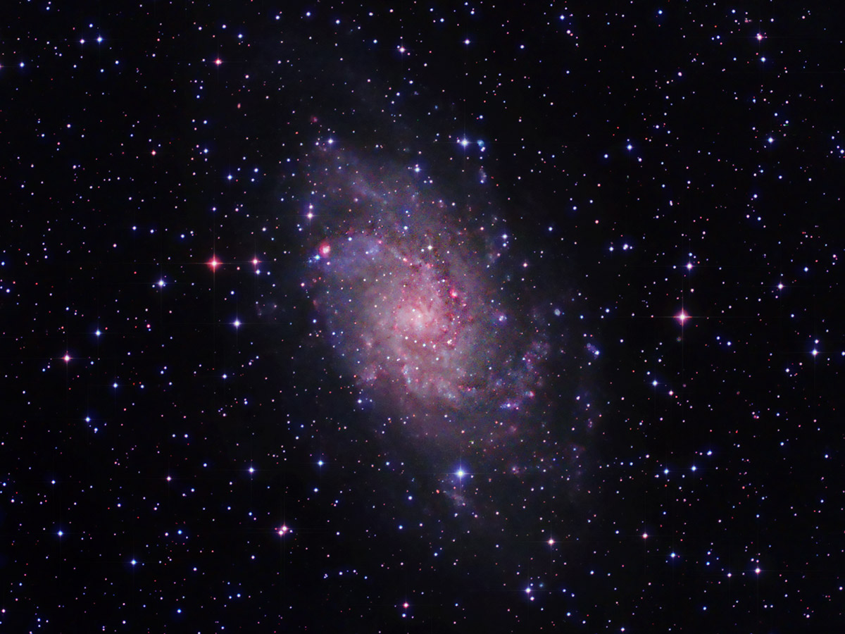 M33