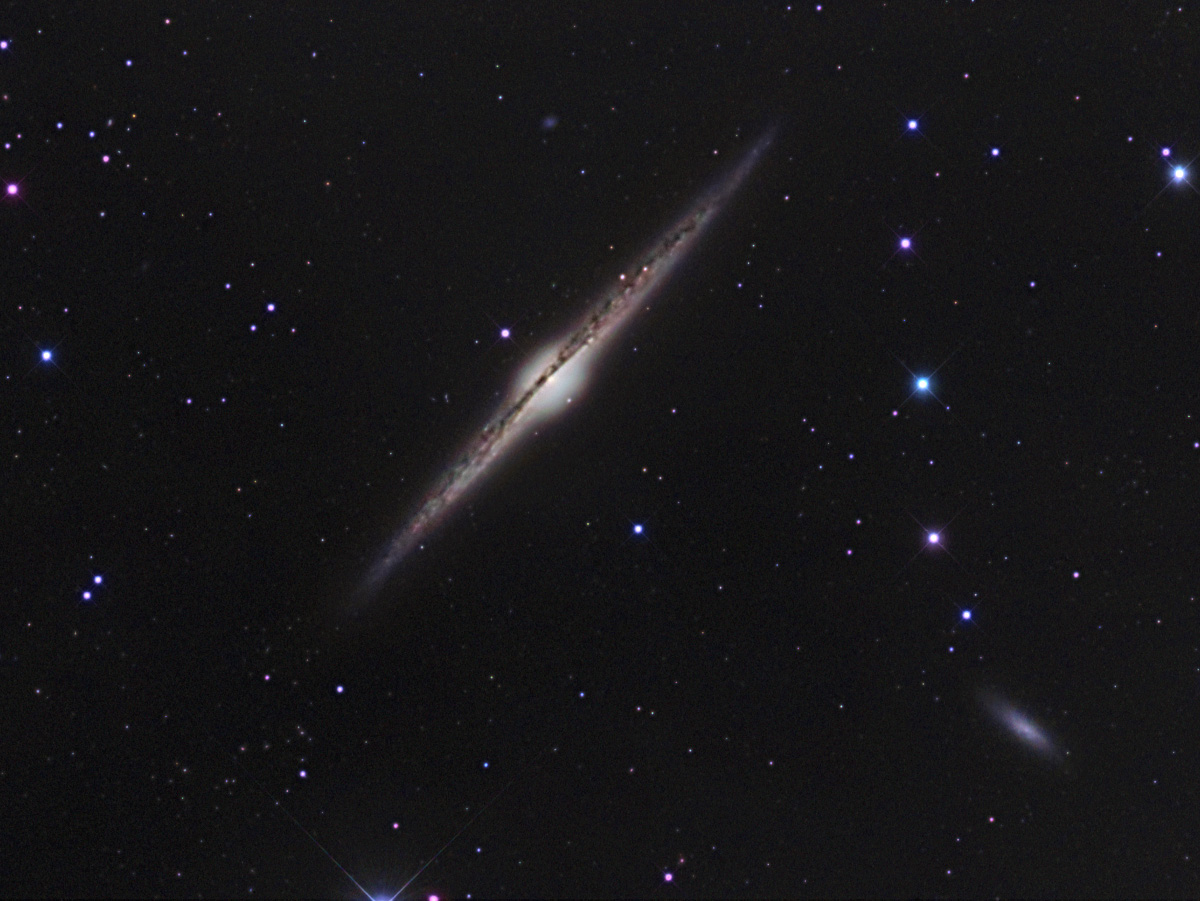 NGC4565