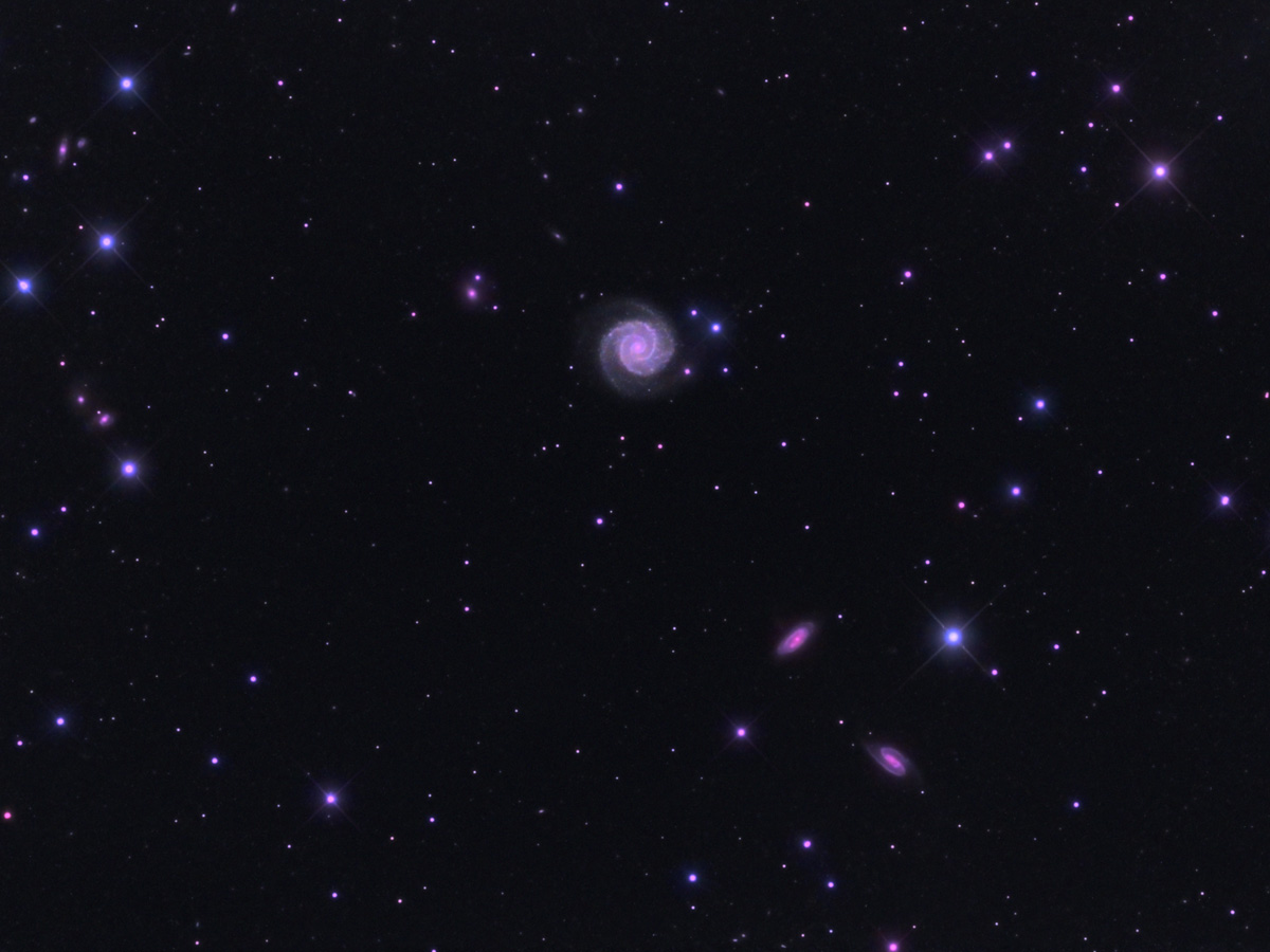 Arp 1