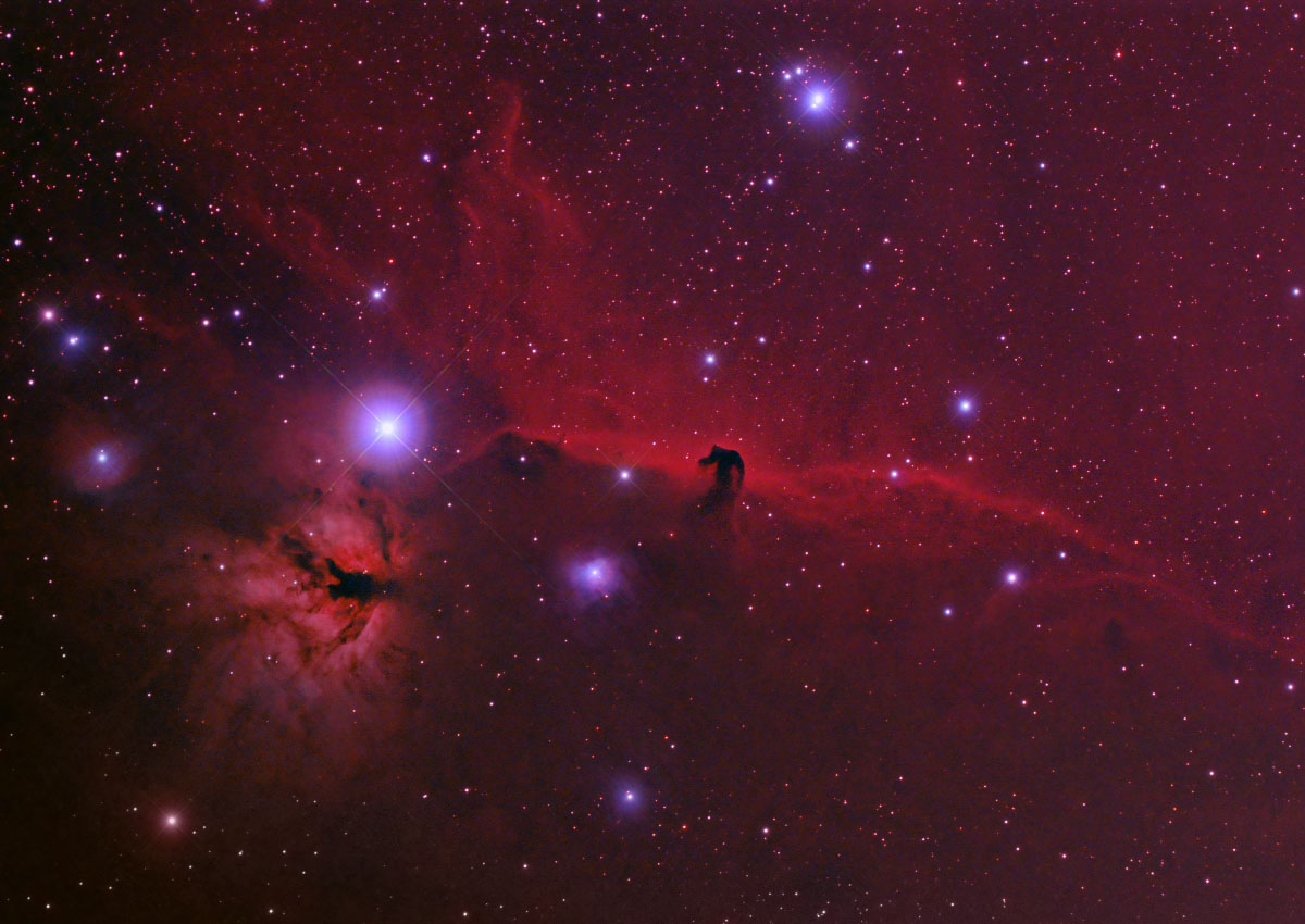 Horsehead