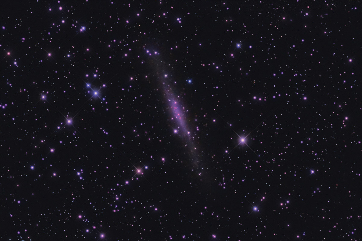 NGC1560