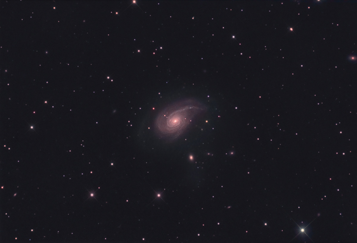 NGC772