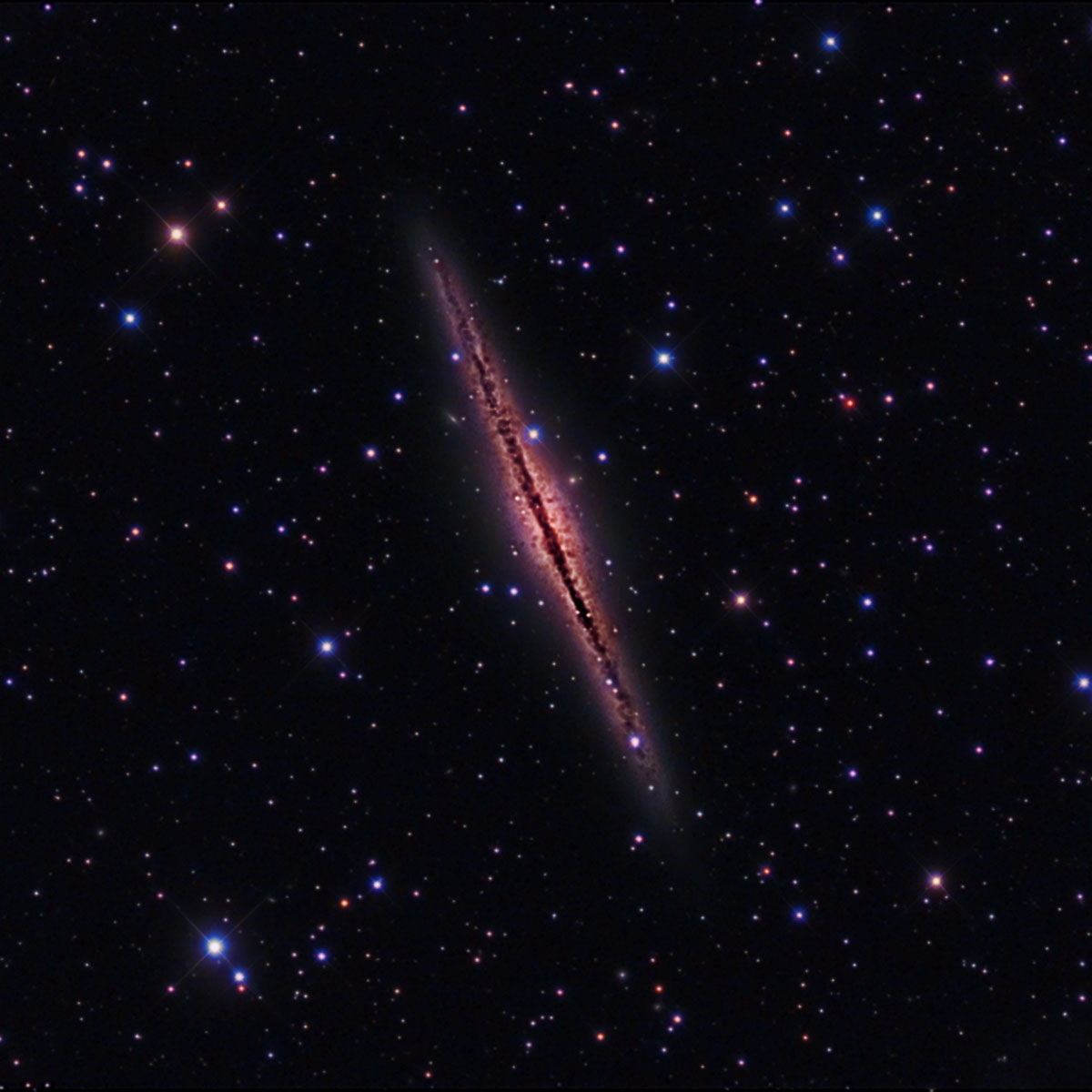 NGC891