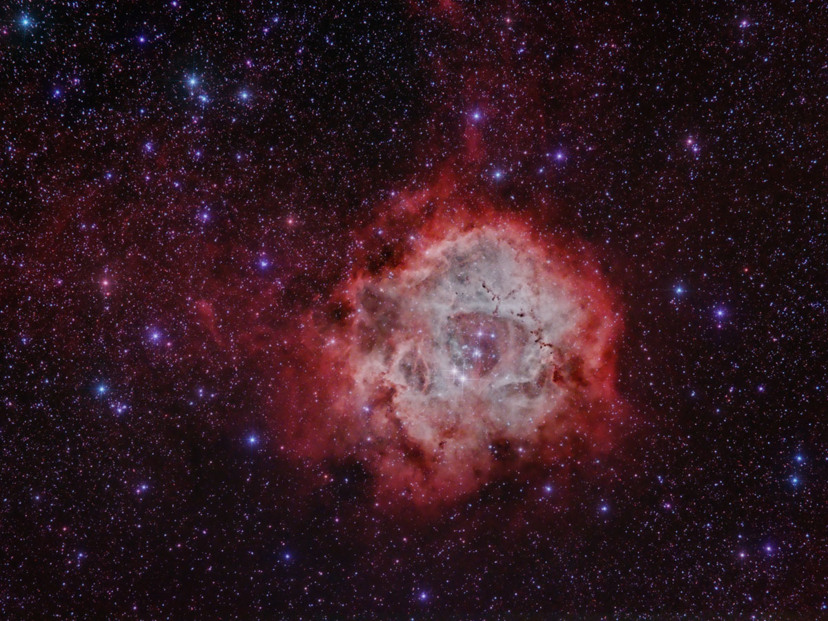 Rosette nebula