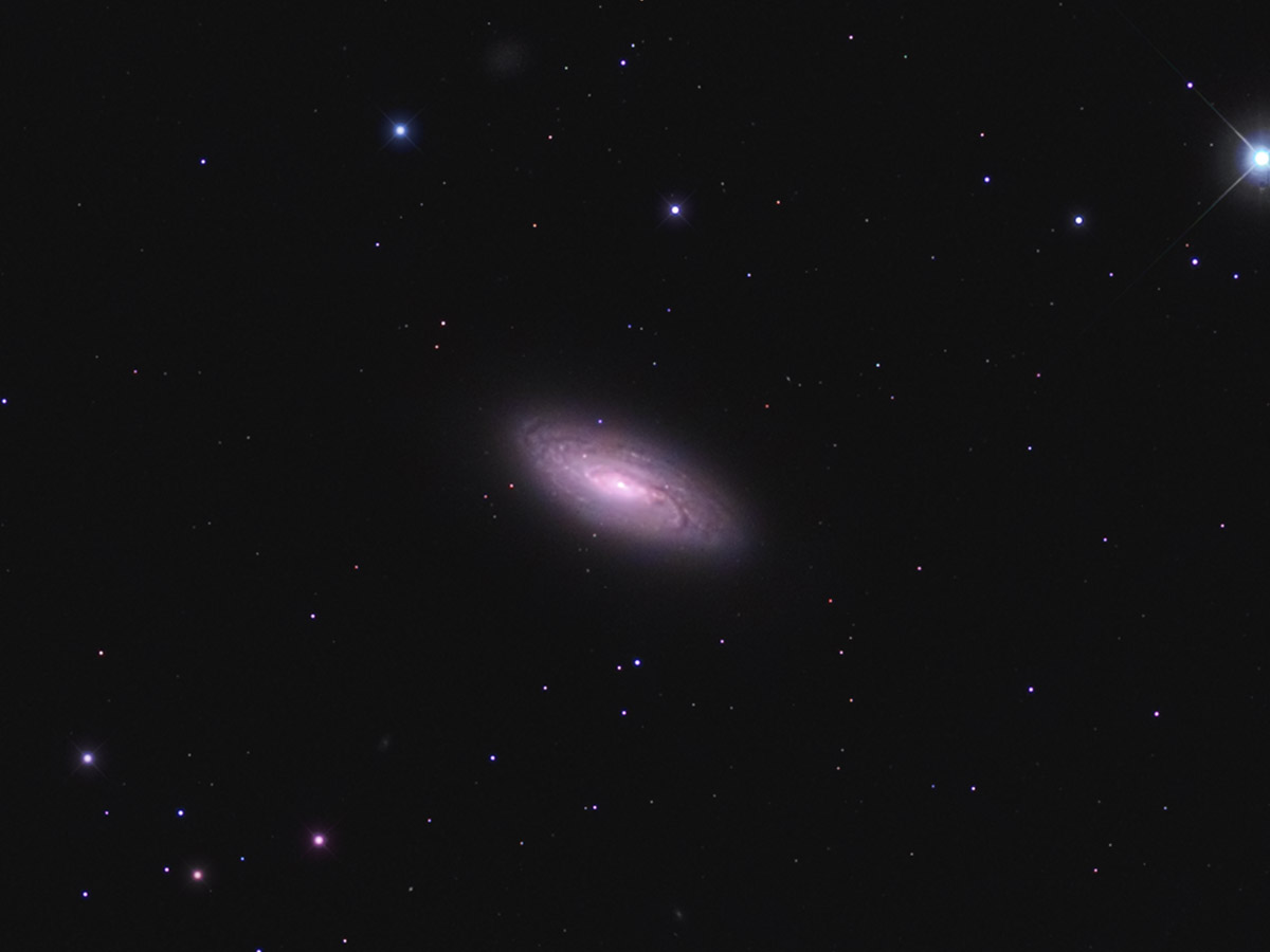 NGC 5005