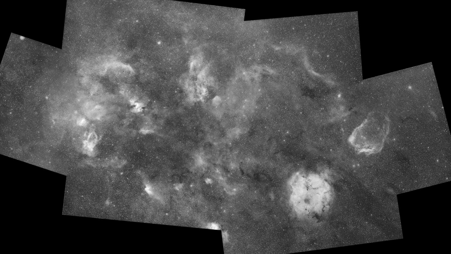 ccepheus mosaic