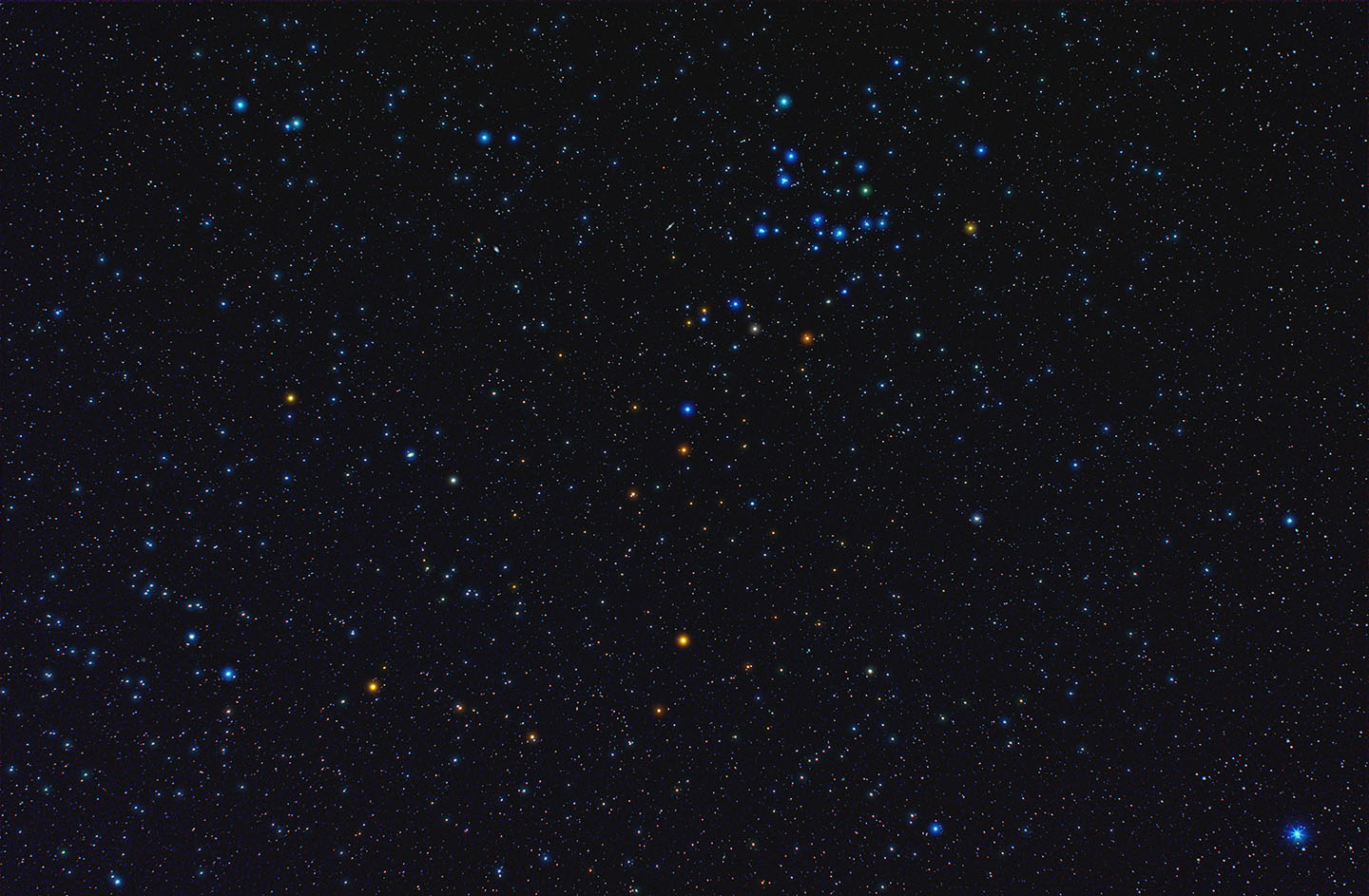 coma berenices