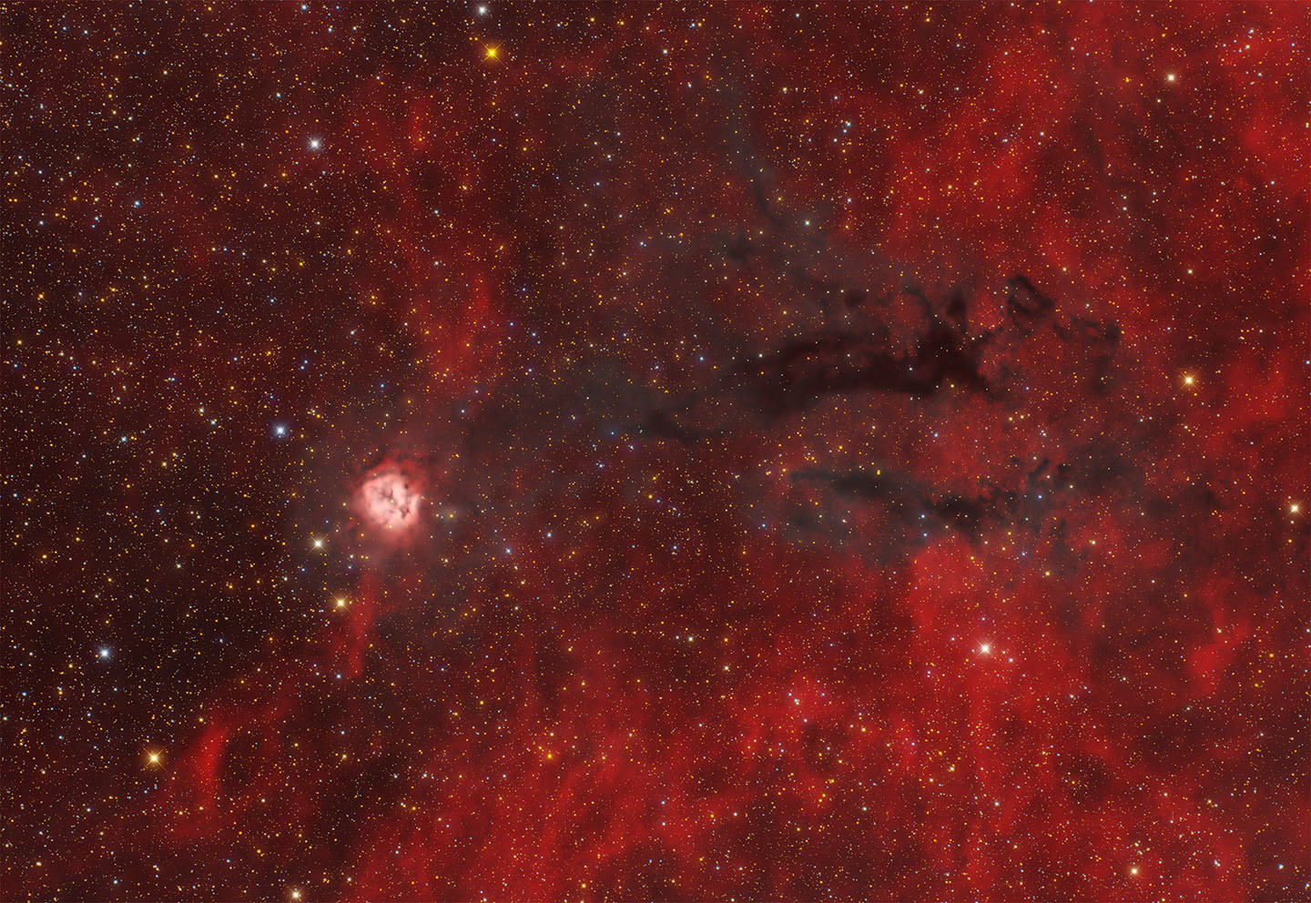 cocoon nebula