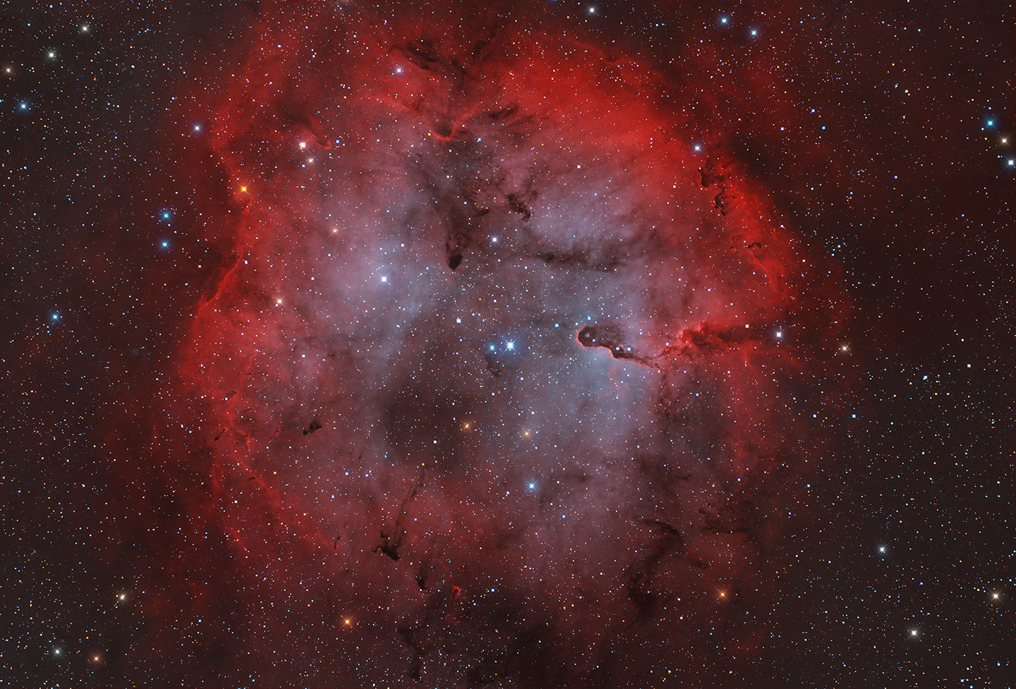 ic1396