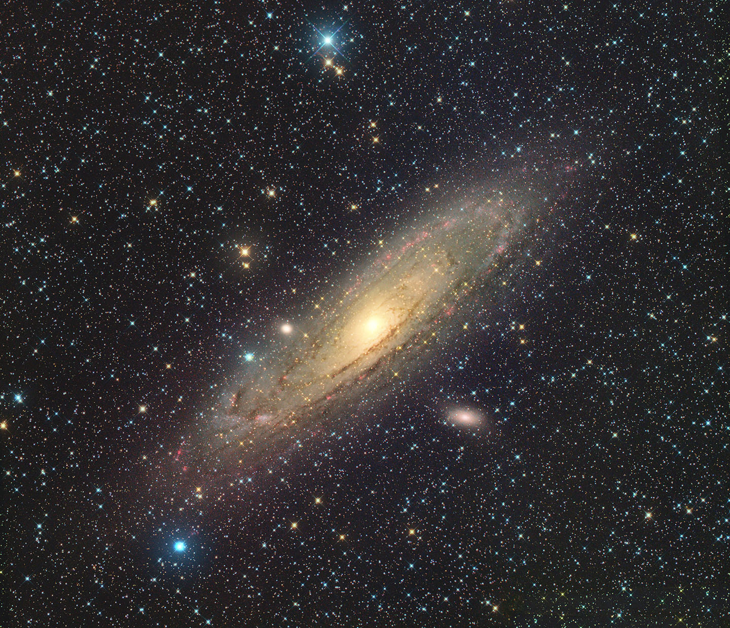 M31