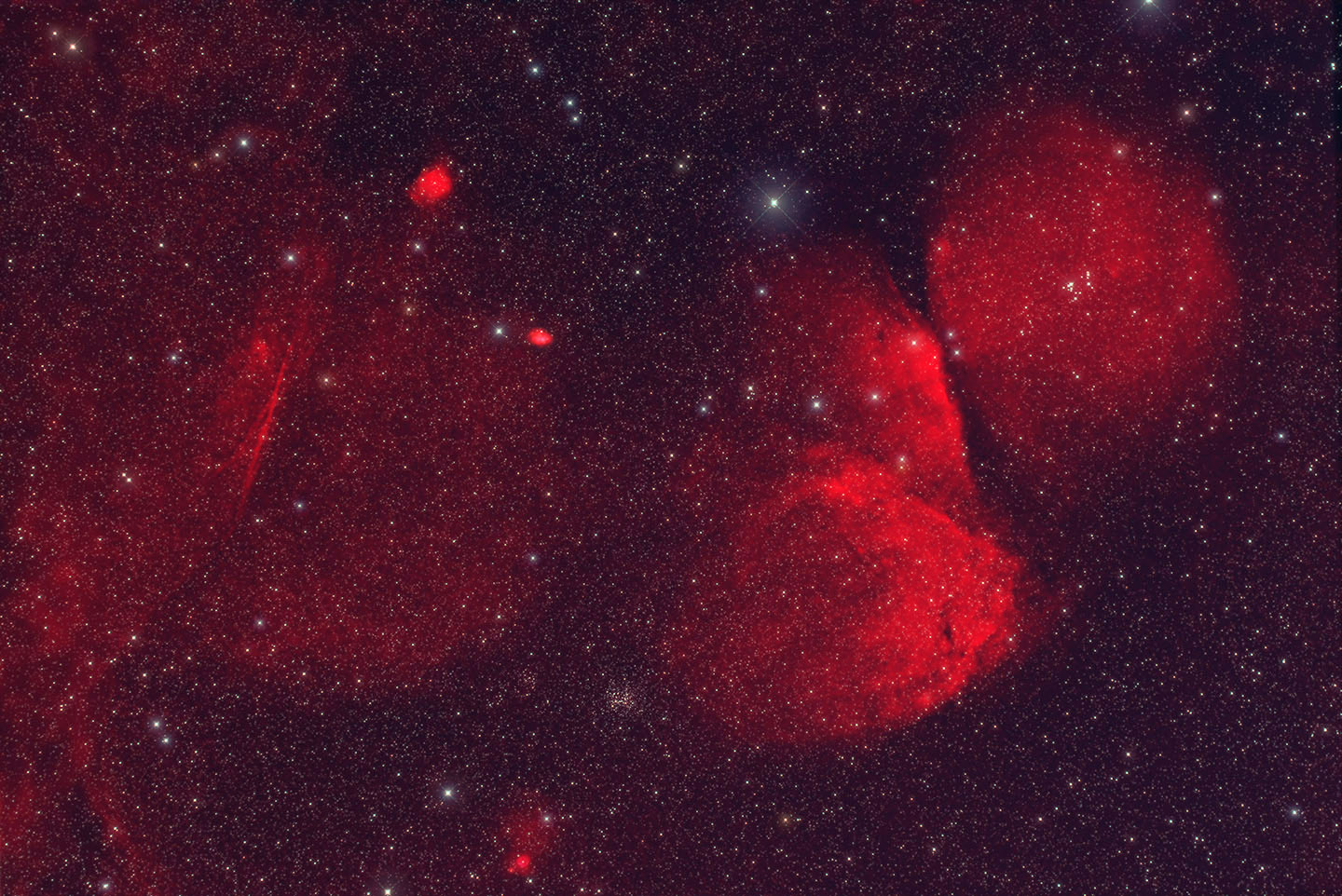 n2194