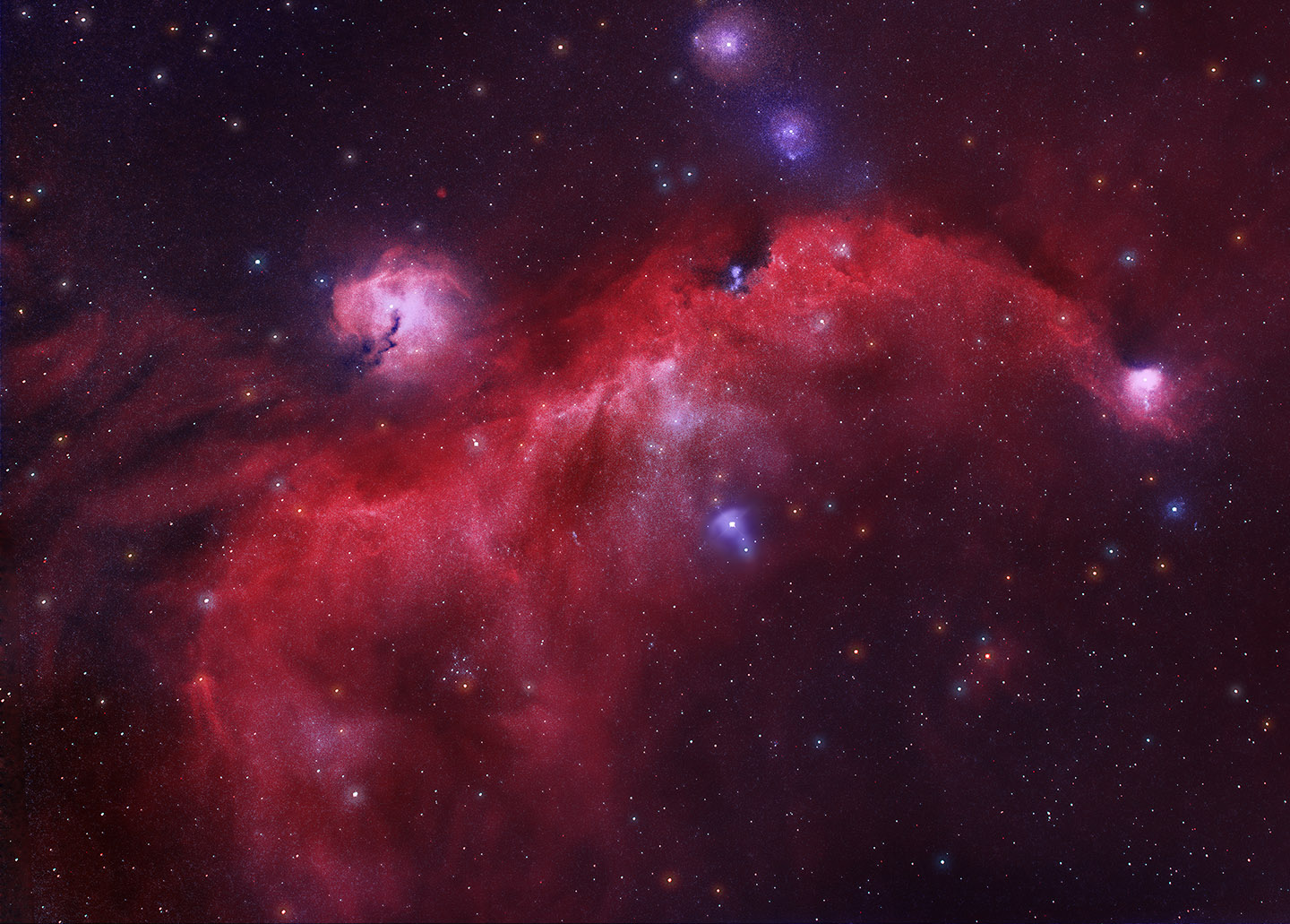 seagull nebula