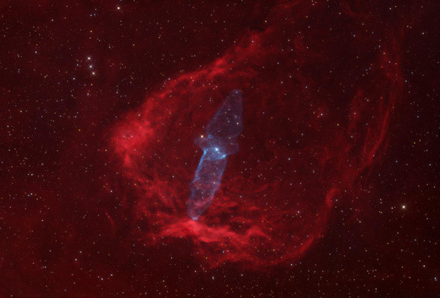 Squid Nebula (OU4)