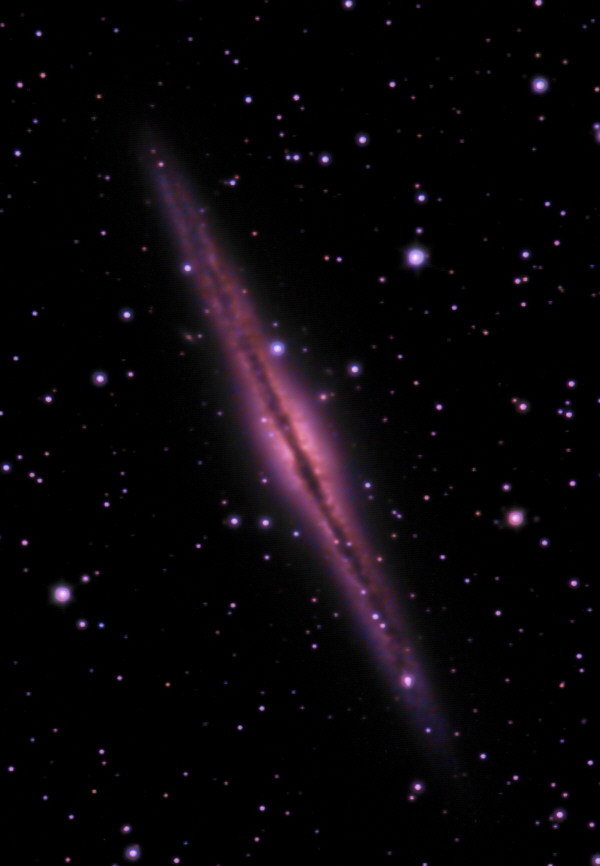 NGC891