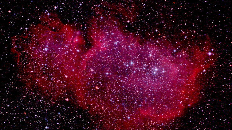 Foetus Nebula
