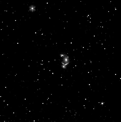Observing the Arp Peculiar Galaxies
